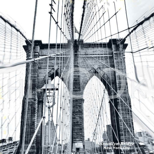 Brooklyn Bridge Cleaning Cloth Cleaner 