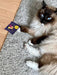 Magic Carpet Ride BlueQ Catnip Toy 